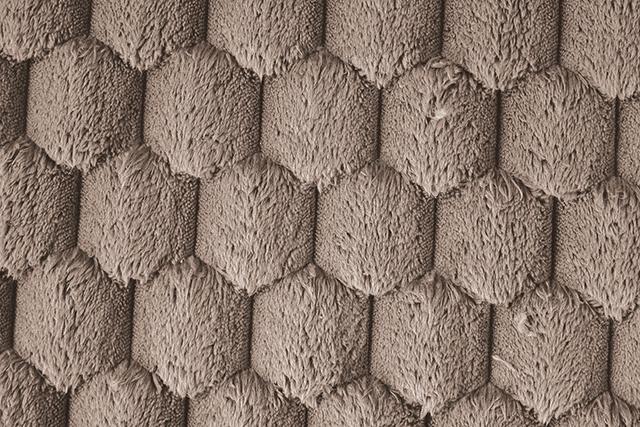 Ferryhill 2-Arm Chaise